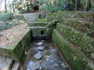 池村　純